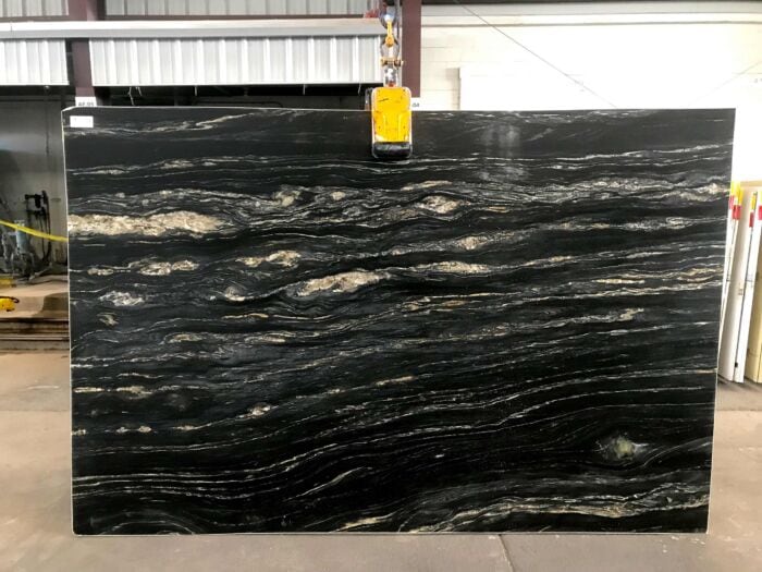 Tropical Storm Leather, Lot #1540