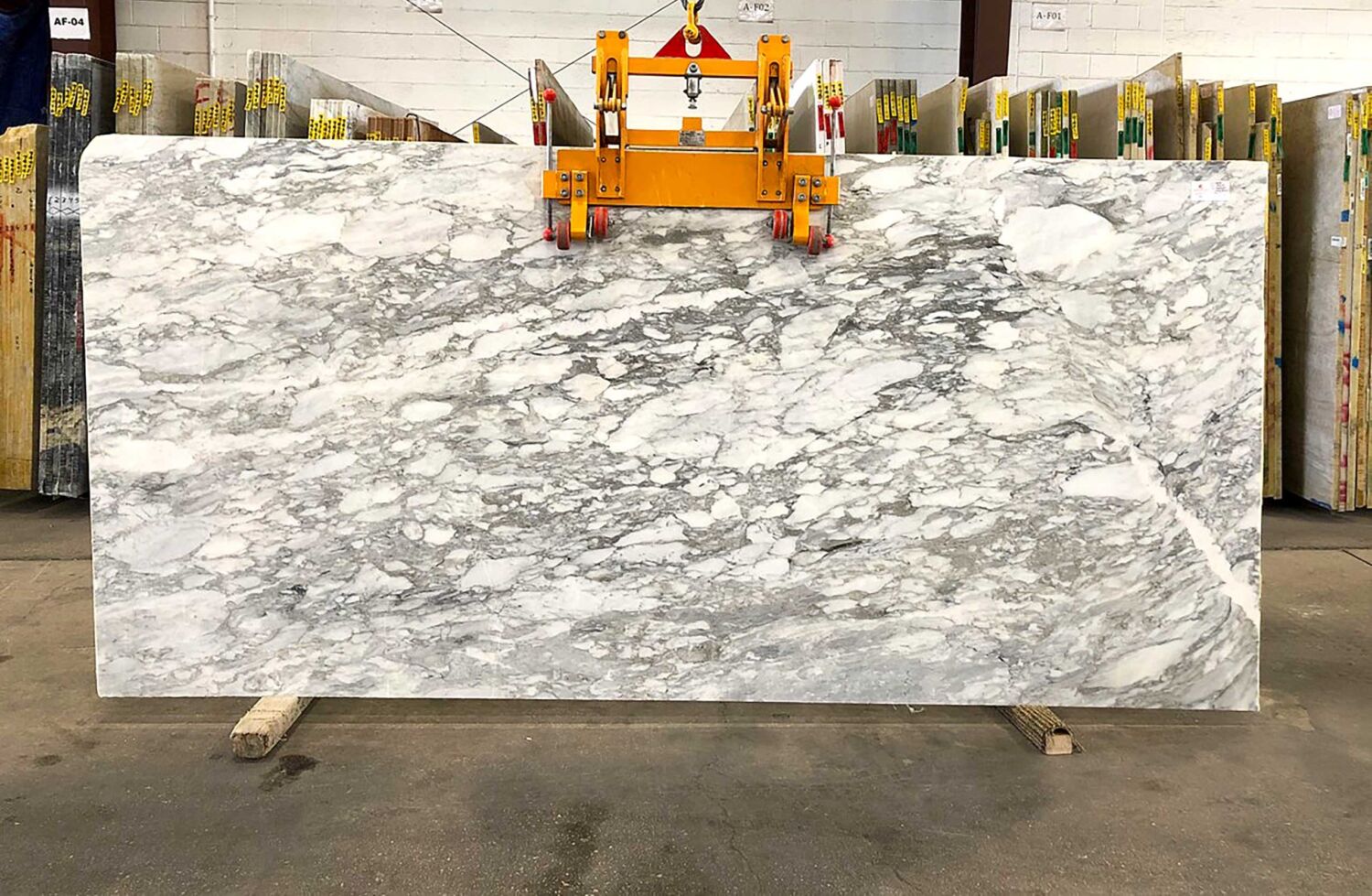 Arabescato Carrara Honed, Lot #507