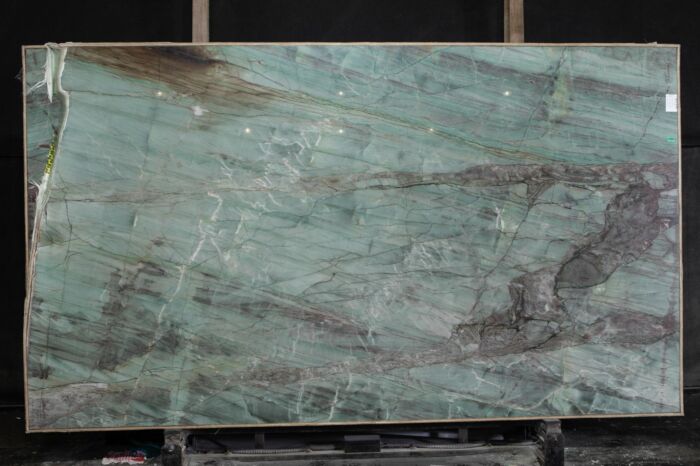 Alligator, Lot #198