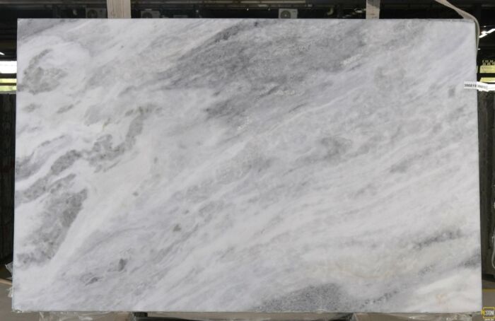 Shadow Storm, Lot #819