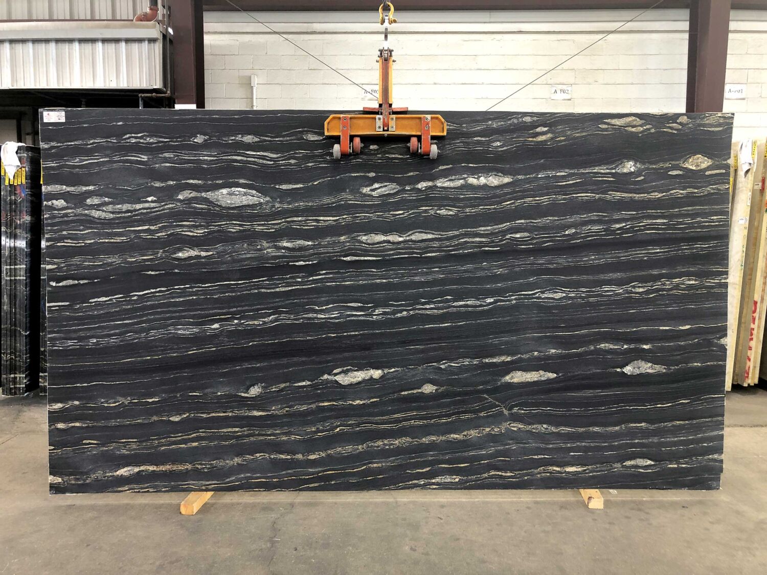 Tropical Storm Leather, Lot #7148